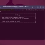 tunnl.gg: come Esporre il tuo Server Linux su Internet in Modo Semplice