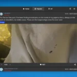Headlines Il Software Che Porta Reddit Su GNOME Linu