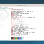Fastfetch 2.58.0: novità, miglioramenti e compatibilità aggiornata
