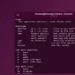 fdir: il tool da terminale per trovare e organizzare qualsiasi file