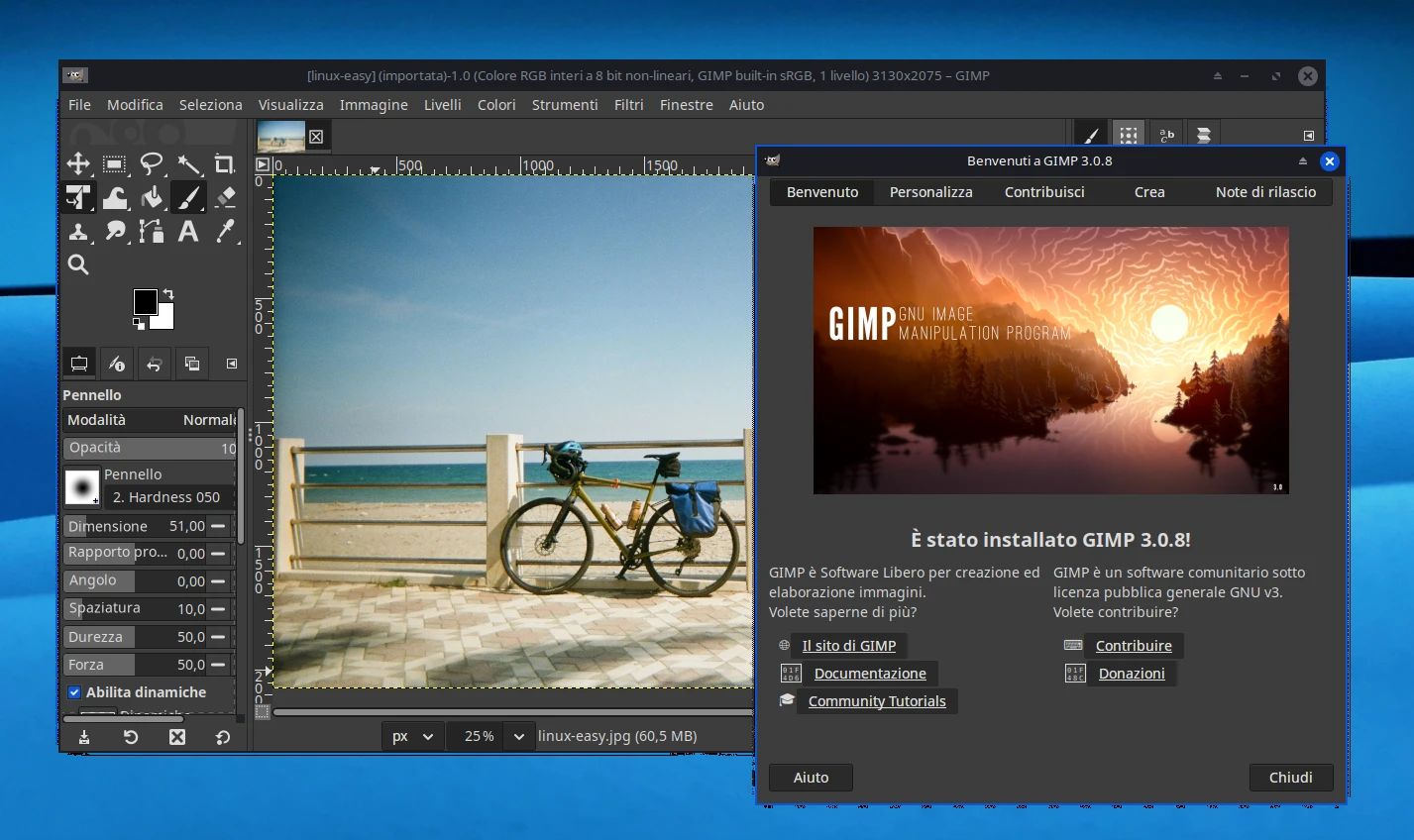 gimp 3.0.8 linux