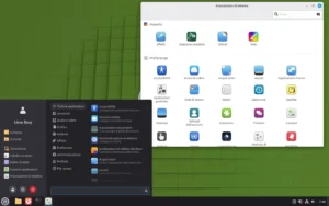 linux mint cinnamon 6.6