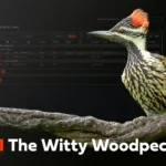 OPNsense 26.1 Witty Woodpecker: un salto di qualità per sicurezza