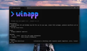 winapp windows