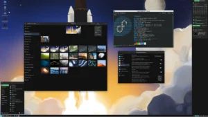 budgie 10 10 1 featured