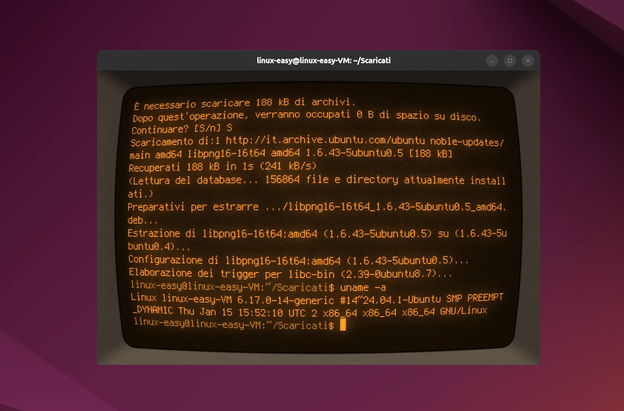 cool retro term linux