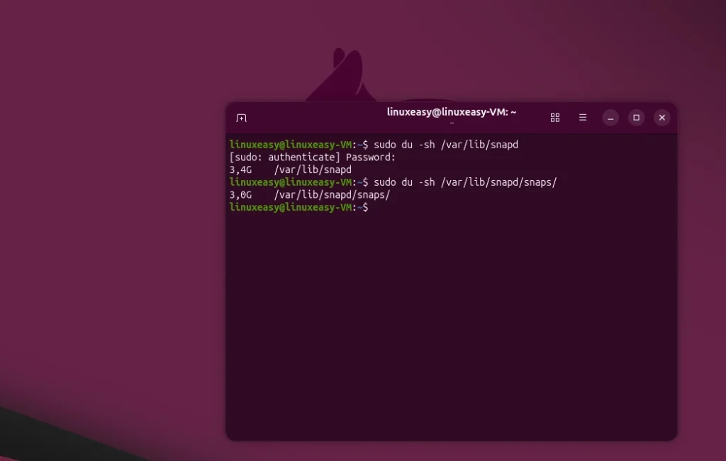 snap terminale memoria