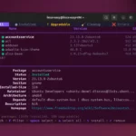 APTUI l’interfaccia testuale per gestire i pacchetti APT