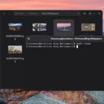 Bing Daily Wallpaper il tool per salvare gli sfondi su desktop Linux