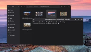 Bing Daily Wallpaper