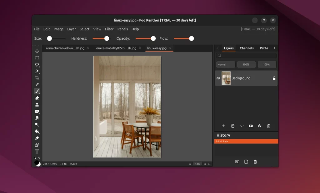 Fog Panther la nuova frontiera dell'editing d'immagine professionale per Linux