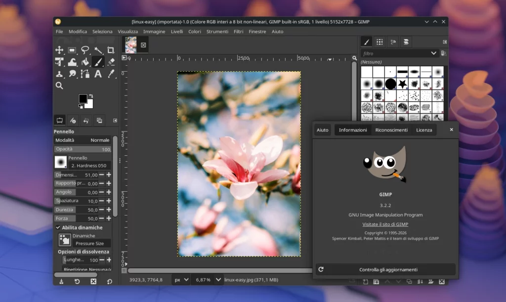GIMP 3.2.2 Linux