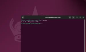 Liquorix Kernel 6.19