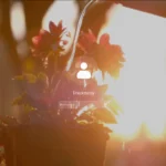 Live Lock Screen porta i video come sfondo sulla schermata di blocco GNOME