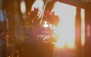 Live Lock Screen GDM