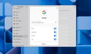 gnome google accounts