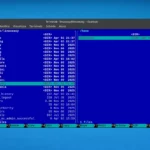 Midday Commander porta la gestione file  nel terminale