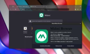 Midori Browser 11.6