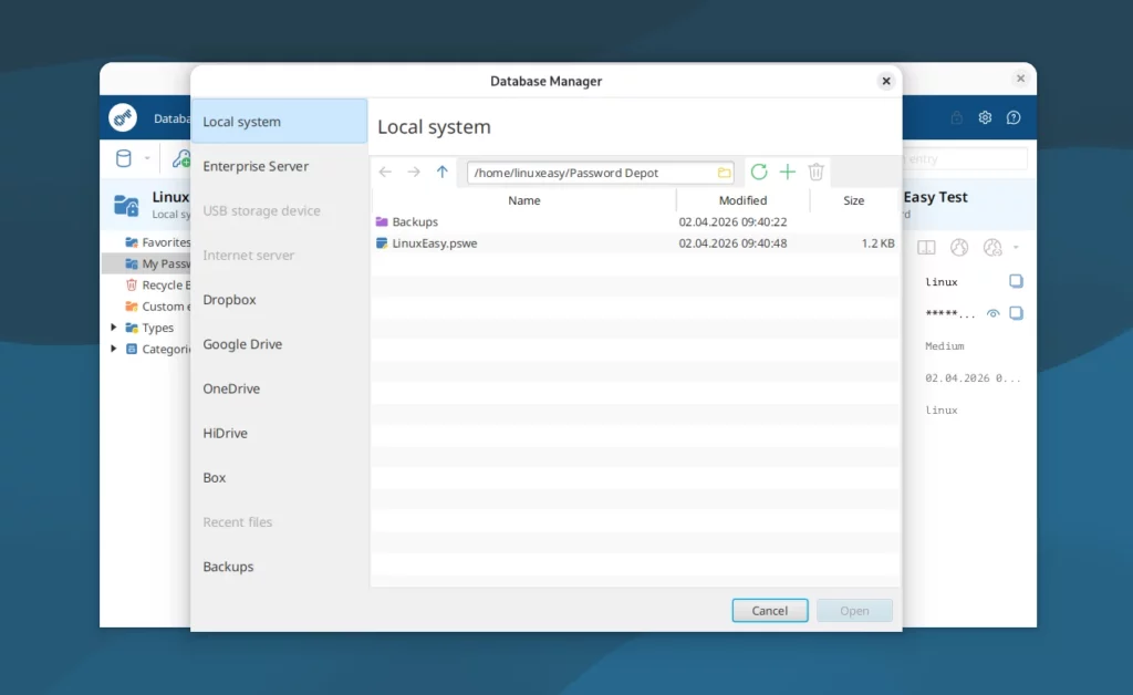 Password Depot Database