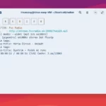 Radion: il client radio TUI minimale e potente per Linux