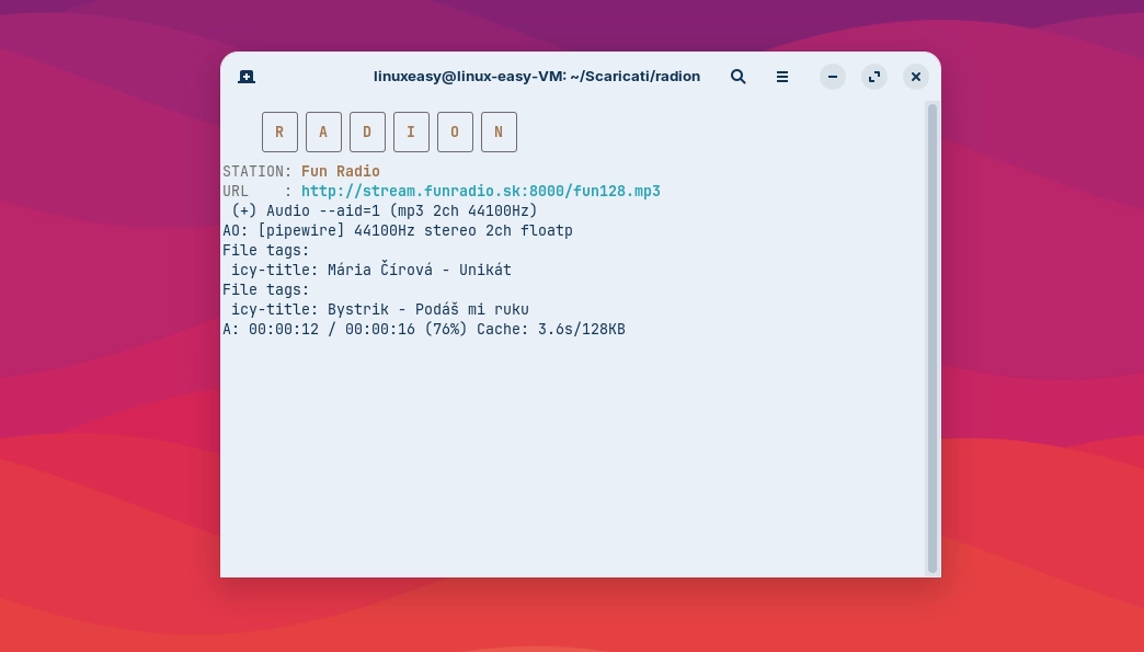 Radion Linux
