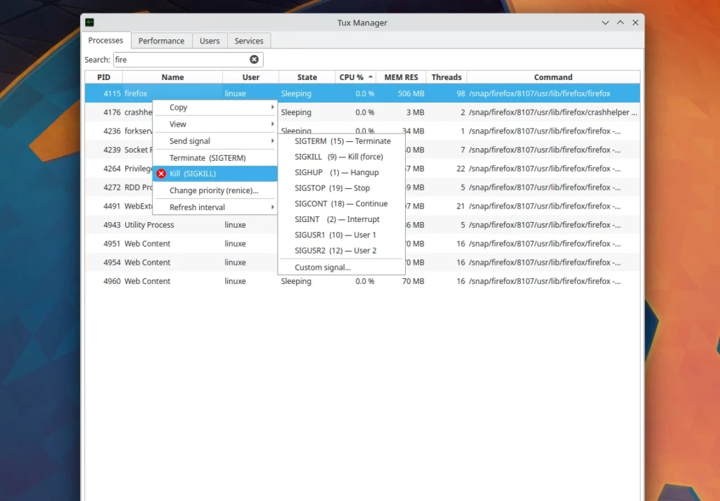 TuxManager Processes