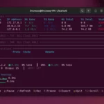 NetWatch porta analisi in tempo reale e ispezione dei pacchetti in un unico terminale