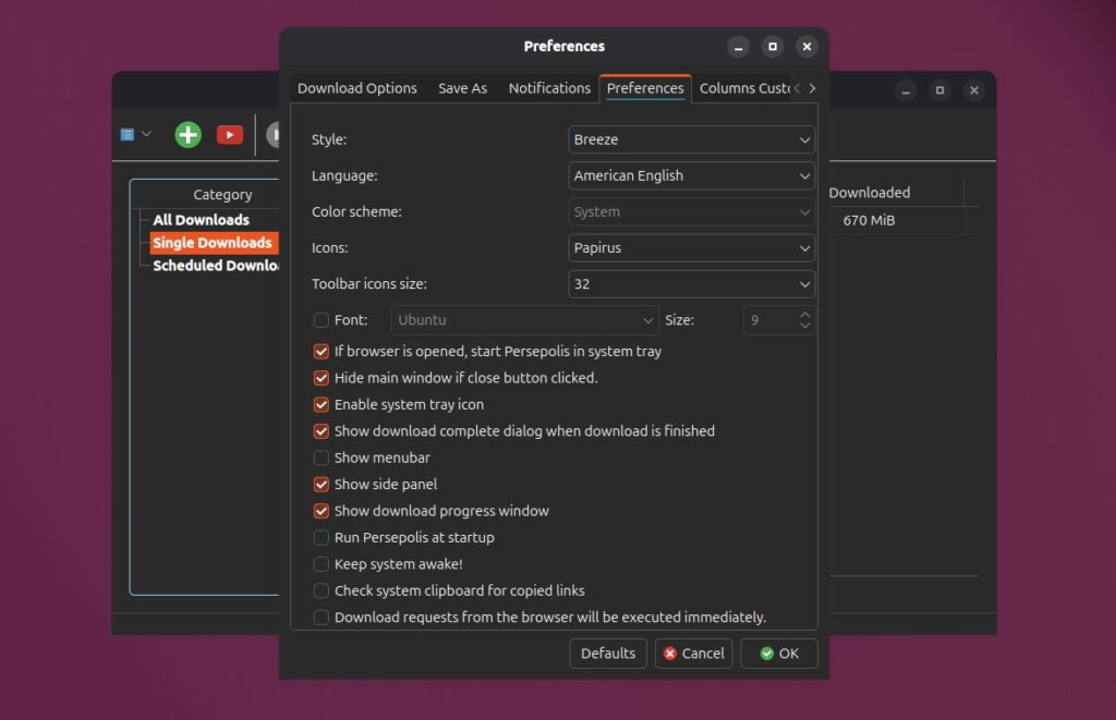 Persepolis Download Manager Settings