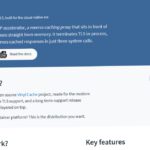 Varnish Cache: il proxy HTTP open che accelera siti e applicazioni cloud-native