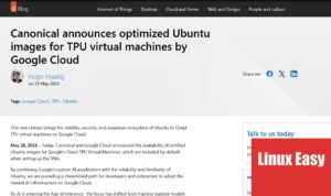 canonical ubuntu tpu