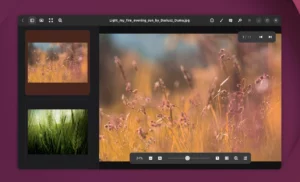 gThumb 4.0 Ubuntu