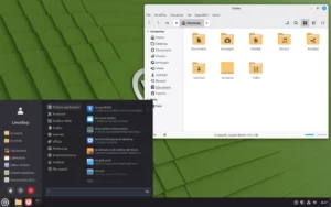 linux mint home