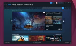 steam linux