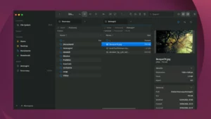 Scopri di più sull'articolo Carelo un file manager dual-panel per chi lavora su Linux