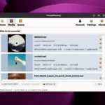 FormatFactory porta su Linux un convertitore multimediale completo