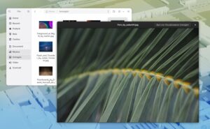 Scopri di più sull'articolo GNOME Sushi passa a GTK4 e aggiunge il supporto iniziale al dark mode