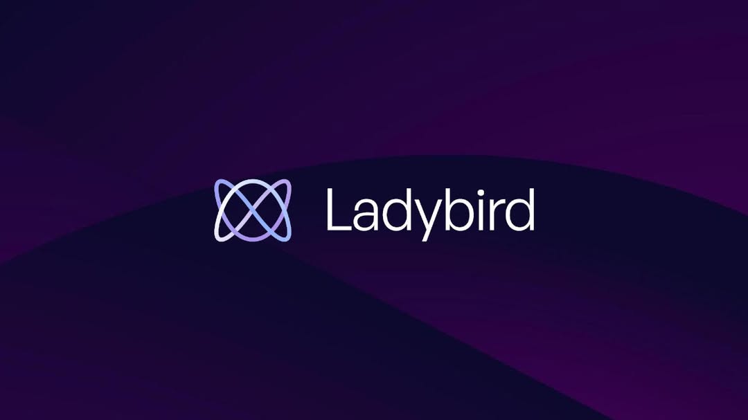 Ladybird Browser