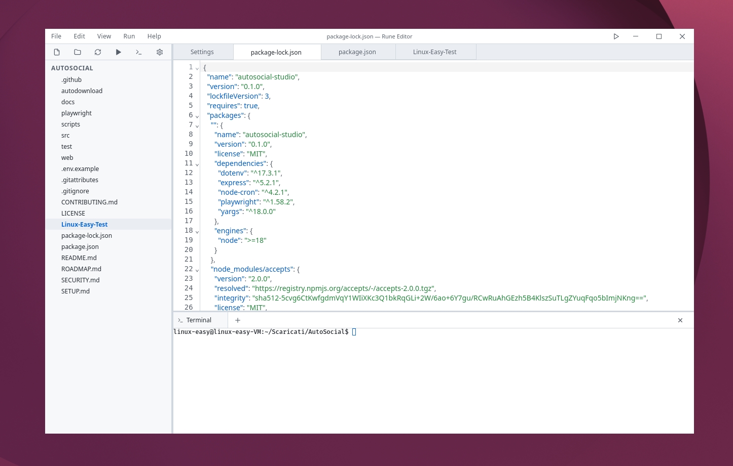 Scopri di più sull'articolo Rune editor di codice veloce e minimale con backend Rust