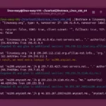 dnstrace analisi pratica del tracciamento DNS su Linux