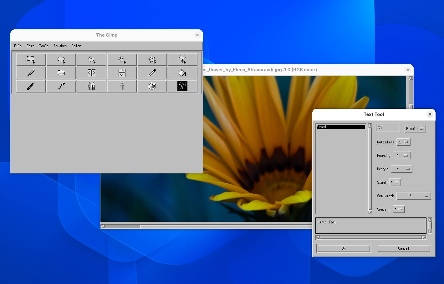 Scopri di più sull'articolo GIMP 0.54 torna su Linux grazie a Flatpak: rivivi la storica versione del 1996