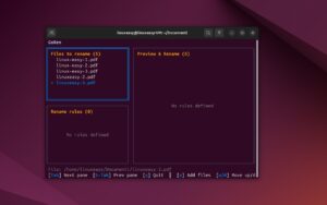 Scopri di più sull'articolo GoRen rinominare file da terminale con anteprima live