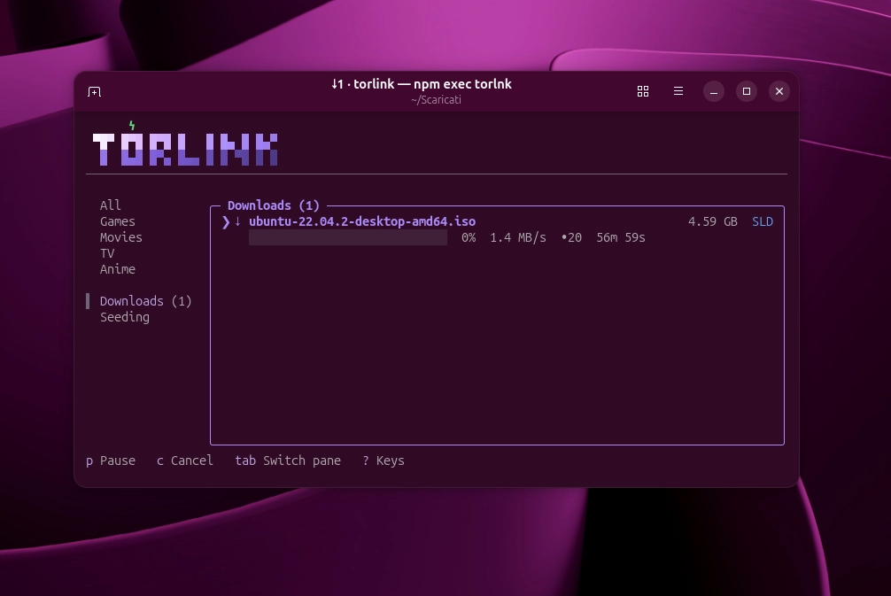 torlink il motore di ricerca torrent da terminale che semplifica download e gestione