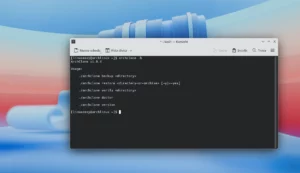 Scopri di più sull'articolo ArchClone il framework modulare per il backup completo di Arch Linux