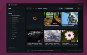 Scopri di più sull'articolo FerrumPix è un nuovo gestore fotografico con editor integrato e supporto a Immich