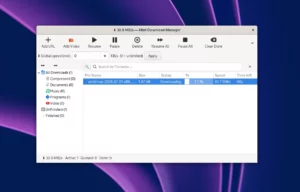 Scopri di più sull'articolo Mint Download Manager: il download manager open per Linux
