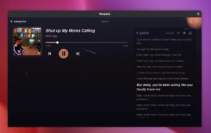 Scopri di più sull'articolo Vespera porta la musica su Linux con visual dinamici e testi sincronizzati