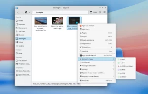 Scopri di più sull'articolo Dolphin si arricchisce con un menu contestuale per convertire PDF, immagini, audio e video