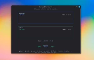 Scopri di più sull'articolo flow Il Monitoraggio di Rete Essenziale per Terminale