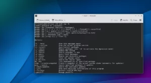 Scopri di più sull'articolo Jay semplifica la gestione dei pacchetti su Arch Linux con AUR e Flatpak