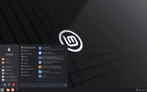 Scopri di più sull'articolo Linux Mint: Cinnamon 6.8 offrirà il supporto completo a Wayland